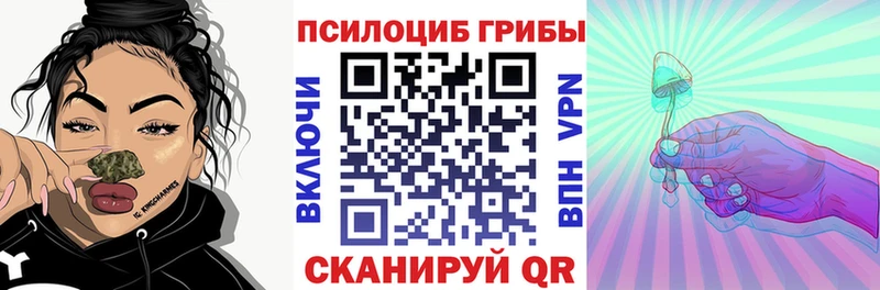 OMG зеркало  нарко площадка наркотические препараты  Псилоцибиновые грибы Psilocybe  Тетюши 